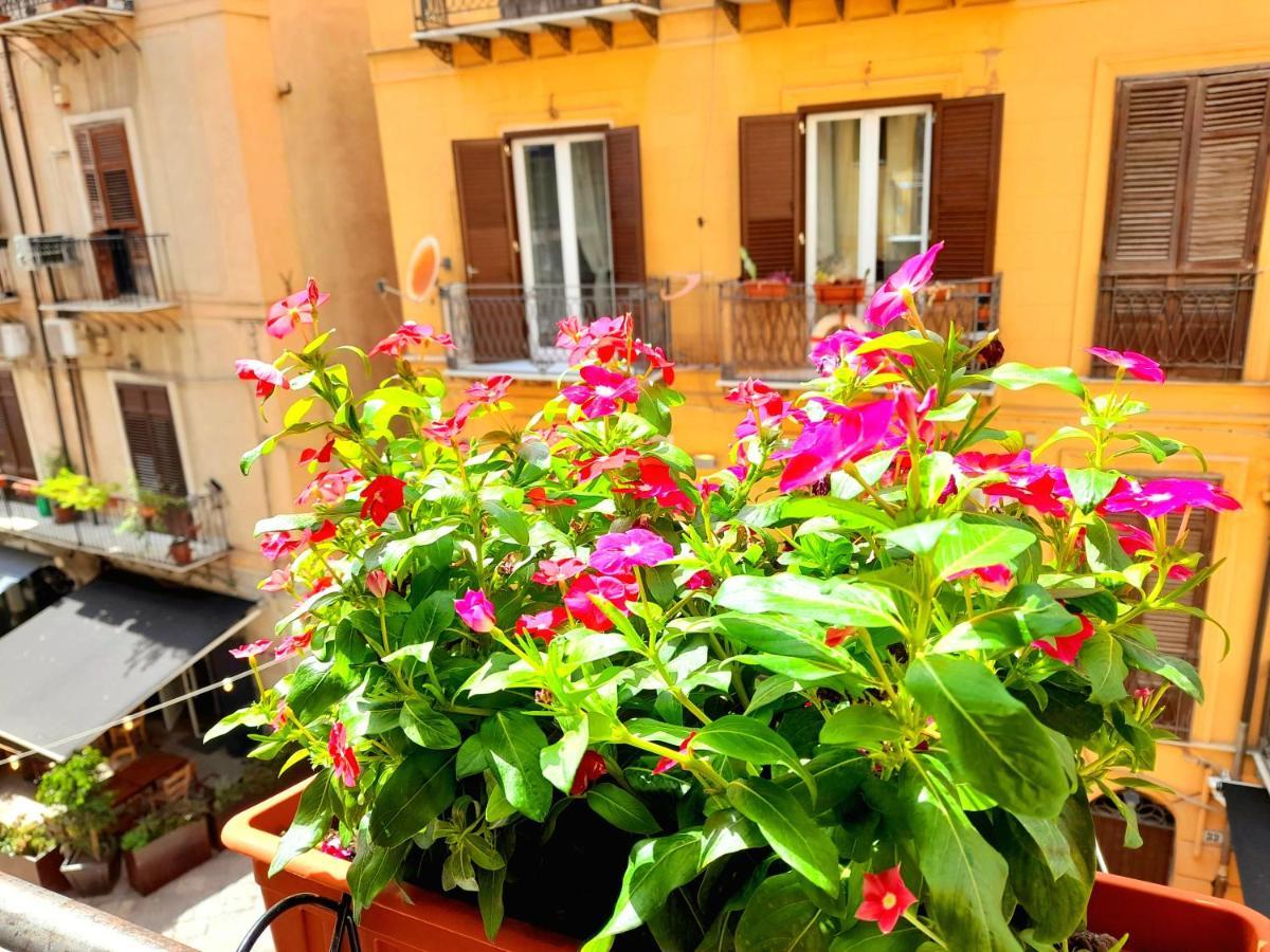 Apartamento La Perla Di *